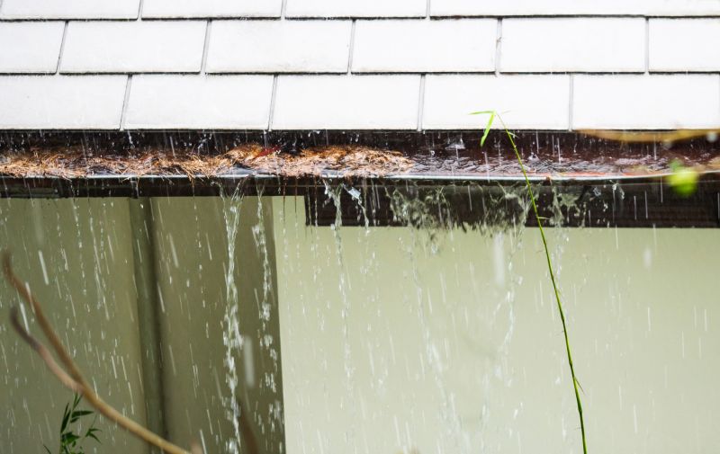Gutter Cleaning Services